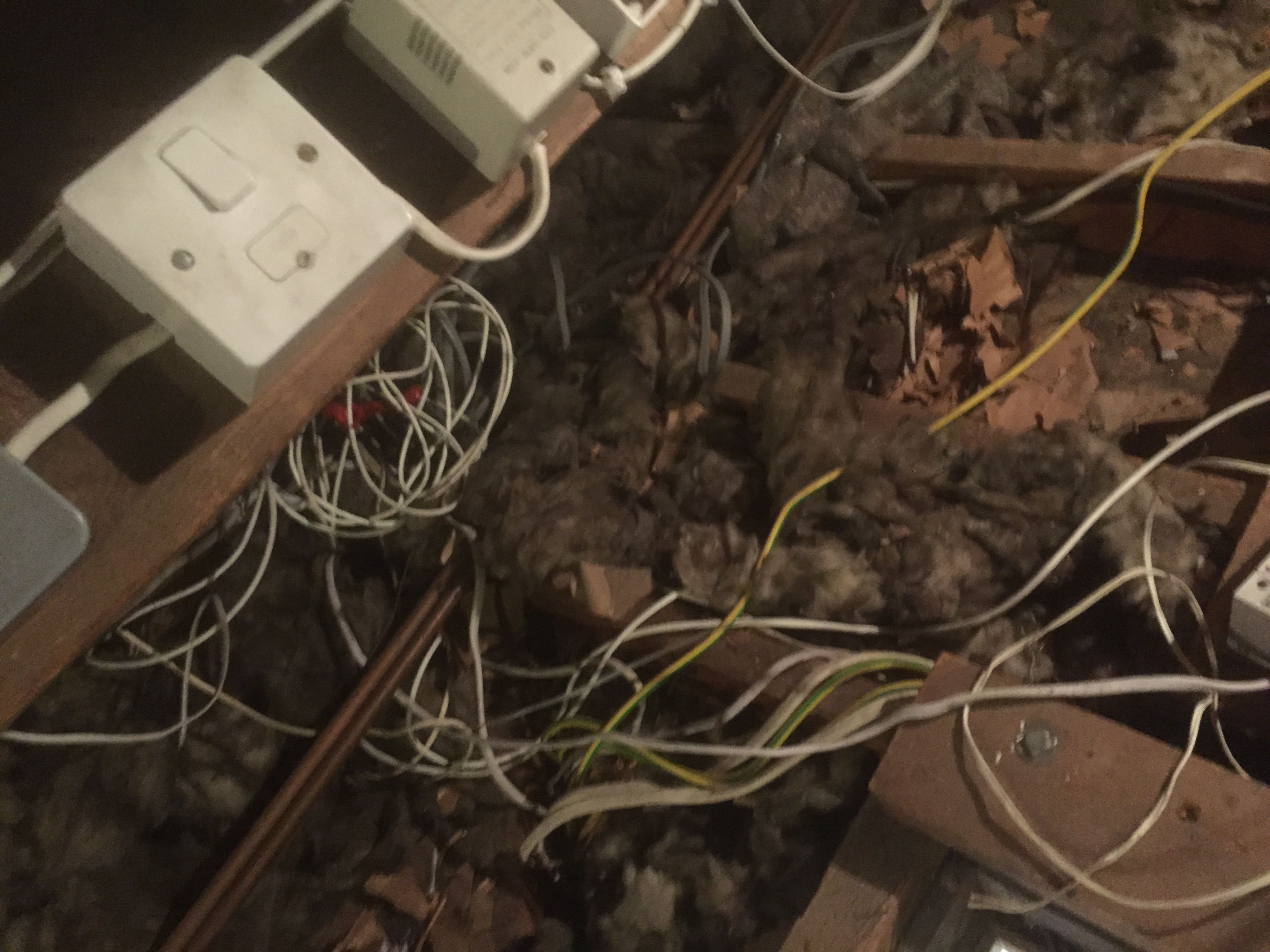 Spaghetti Cabling found in Welling 