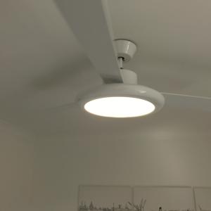 Fan Light Installed in Blackheath 